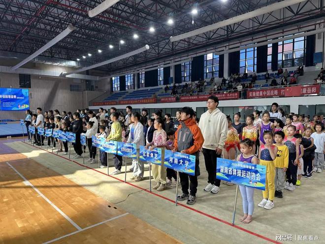2024年體操等級賽湖南岳陽站圓滿落幕(圖2)