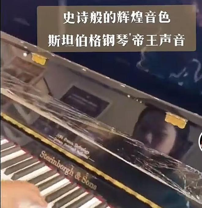 斯坦伯格十大品牌排行：世界上最好十個(gè)三角鋼琴品牌排行(圖6)