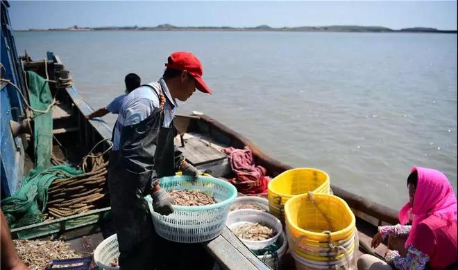 為什么不允許江船入海海船卻可以入江？江船入海有什么后果？(圖8)