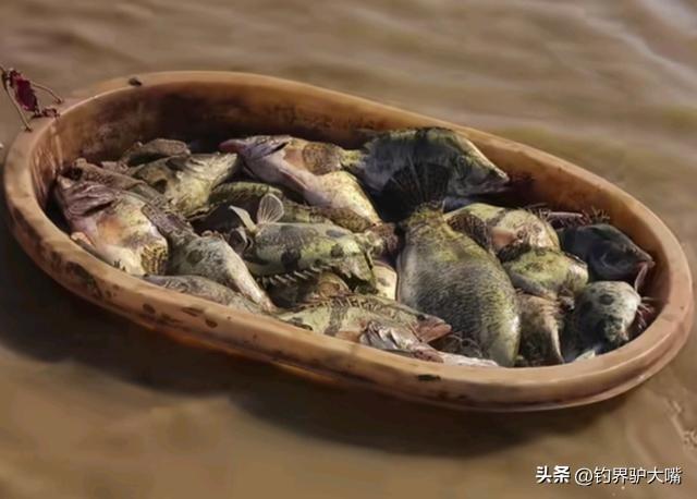 江西男子釣魚打龜一怒之下下水摸魚網(wǎng)友：不講武德(圖5)