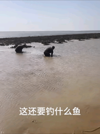 江西男子釣魚打龜一怒之下下水摸魚網(wǎng)友：不講武德(圖4)