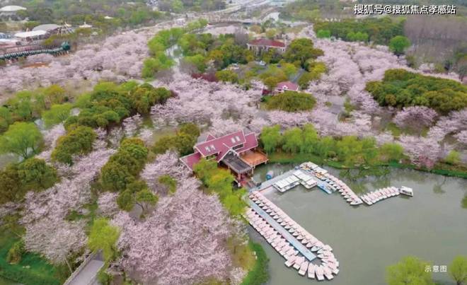 寶山時(shí)代樂(lè)章網(wǎng)站-招商時(shí)代樂(lè)章(2025·最新)樓盤(pán)詳情(圖21)