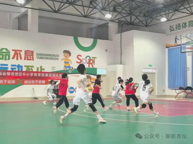 2025年聊城高新區(qū)中小學生體育聯(lián)賽籃球、排球比賽圓滿落下帷幕(圖1)