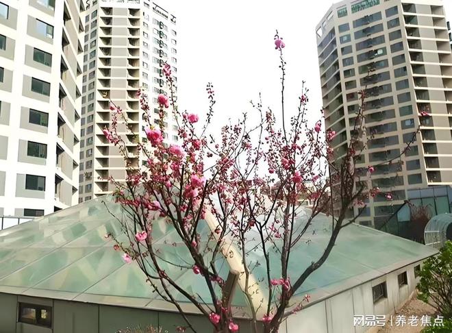 Im體育網(wǎng)站：2025年北京金手杖國際養(yǎng)老公寓全面整理：收費標(biāo)準地址導(dǎo)航電話(圖4)
